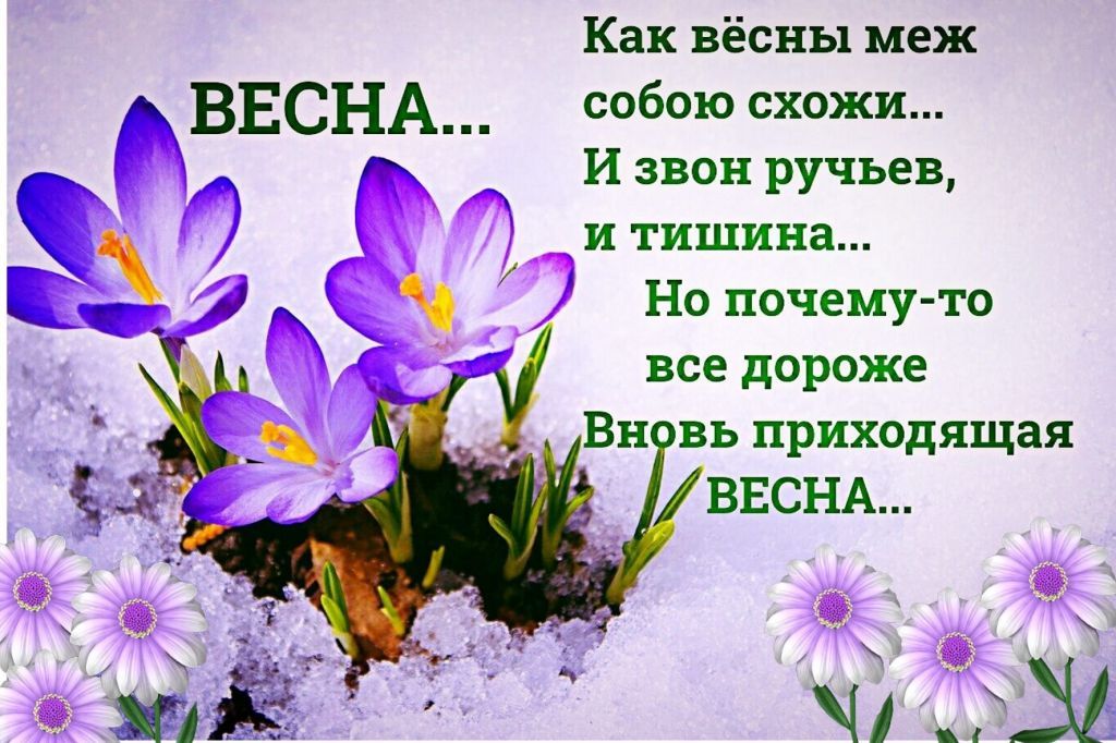 1682045715_sneg-top-p-kartinki-mart-mesyats-vkontakte-58.jpg
