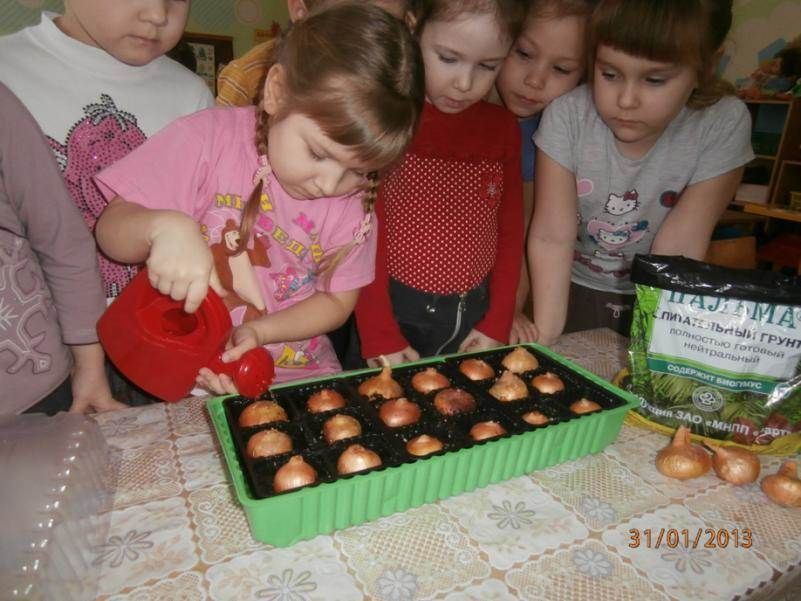 Рисунок1 (2).jpg