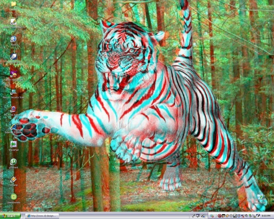 8e81ca8e9ad32452552695b6d3e12954.jpg