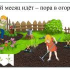 c71d08a8-624d-5e16-90a0-cb8cad795309.jpg